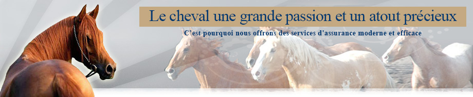 Baroncini Broker srl
