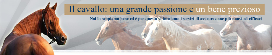 Baroncini Broker srl